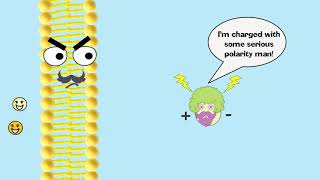 Facilitated Diffusion Explained [upl. by Eilrahs]