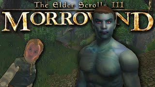 Morrowind but its Oblivion [upl. by Nnaylrebmik]