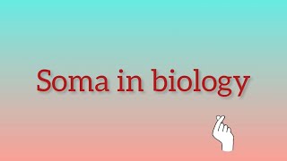 What is Soma in biology [upl. by Ynnol511]