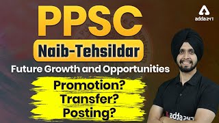 PPSC NaibTehsildar Future Growth and Opportunities PromotionTransferPosting [upl. by Asiluy]