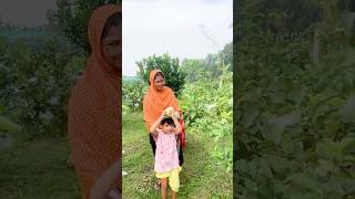 সাফল্য ও সম্ভাবনার পেয়ারা চাষ পর্ব১  farming Chuadanga [upl. by Josepha]