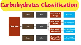 Carbohydrates Classification Clinical significance of different carbohydrates [upl. by Bertila]