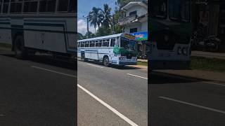 Political bus 🚌 1st May 2024 Sri Lanka 🇱🇰 bus srilanka buses [upl. by Eldredge]