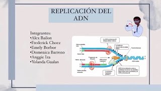 REPLICACIÓN DEL ADN  BIOLOGÍA MOLECULAR [upl. by Mcquoid]