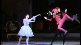 1989 Bolshoi Ballet Nutcracker excerpts 312 by GrigorovichTchaikovsky  The Nutcracker Doll [upl. by Alle]