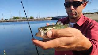 FISHING WITH LURES I HAVENT EVER GOTTEN A FISH WITH MENTIONED YOU AT ONIELL FOREBAY CALI AQUEDUCT [upl. by Alta]