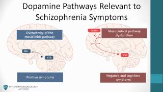 Psychopharmacology Antipsychotics amp The Dopamine Hypothesis [upl. by Ponton]