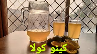 Kinnow ka sharbat  Orange Juice Recipe by Punjabi Kitchen Routines [upl. by Jennifer]