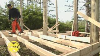 Day 25  Cabin Construction Mouse Proofing and Home Cooking  Masa Off Grid [upl. by Ahsekim]