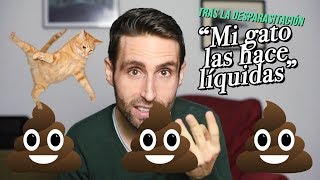 ¿Por qué mi gato hace sus 💩 líquidas tras la desparasitación [upl. by Mayda]