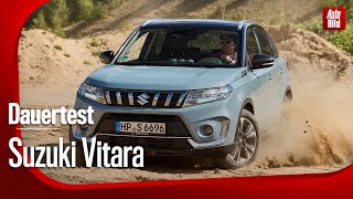 Suzuki Vitara Hybrid  Dauertest mit Jonas Uhlig Tim Dahlgaard Marcus Constantin und Niki Schelle [upl. by Eadmund]