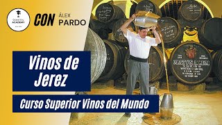 VINOS DE JEREZ Vinos Generosos Sherry wine [upl. by Ayamahs]