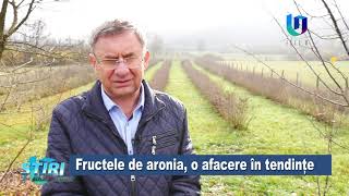 De unde vin fructele de aronia din sucurile Zemos [upl. by Ennaoj]