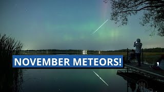 November Meteor Showers 2024 [upl. by Milly141]