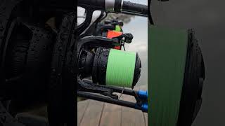 Daiwa emblem 45 SCW QD newtoys carp daiwa emblem fishing wlc [upl. by Anyek633]