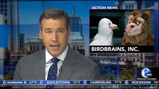 BirdBrains Inc 6abc WPVI TV News Coverage on 05 23 23 at 4PM [upl. by Shore]