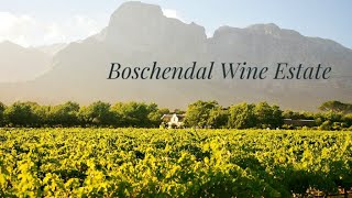 Boschendal Wine Estate [upl. by Zile]