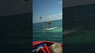 🚨 Yacht Sinks in the Florida Keys 🌊⛴️ CoralReefCollision BoatsnapsNews [upl. by Enelav147]