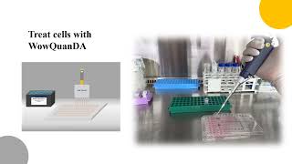 Wow QuanDA cell prolfieration Cytotoxicity Kit [upl. by Enomsed]