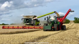 Claas Lexion 8900 With Vario 1380 Harvesting Barley Accompanied By Cestari 20500 Auger Wagon 4K [upl. by Drawdesemaj]