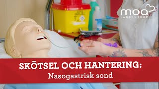 Skötsel och hantering  Nasogastrisk sond [upl. by Osbourne]