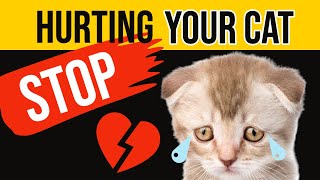 10 Things You Do That Emotionally Hurt Your Cat 8 is common [upl. by Cired]