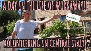 Workaway  Volunteering in central Italy [upl. by Benji]