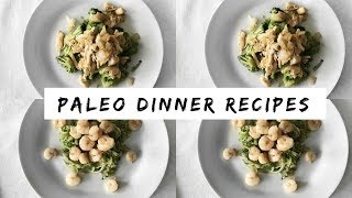 Curing Alopecia  Diet  3 Paleo Dinner Recipes AIP Compliant [upl. by Heidie]