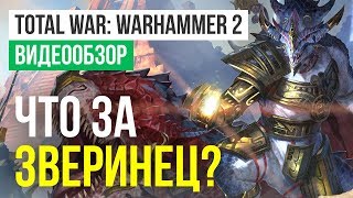 Обзор игры Total War Warhammer 2 [upl. by Emmett]