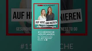 Auf Herz und Nieren – 11 Heimische Heilpflanzen [upl. by Leopold]