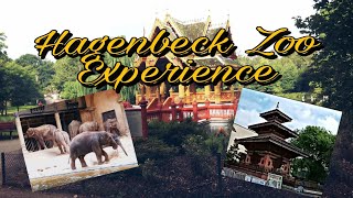 Hagenbeck Zoo Experience [upl. by Gauntlett728]