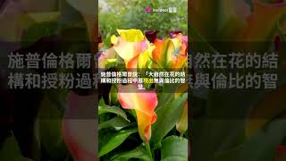 Christian Sprengel 揭開自然授粉之舞的秘密 [upl. by Ainej]