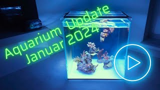 UNS Cube Nano Aquarium Update Januar 2024 [upl. by Arinaj788]