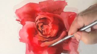 How to Paint a Red Rose in Watercolours by Trevor Waugh [upl. by Attenoj]