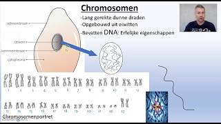 Biodam thema 1 cellen chromosomen [upl. by Susy]