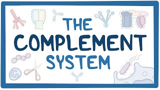 COMPLEMENT SYSTEM MALAYALAM [upl. by Layla]