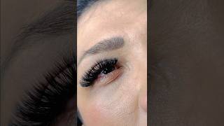 Volume set sizes 9mm  15mm eyelashextensions lashes beauty [upl. by Horbal460]