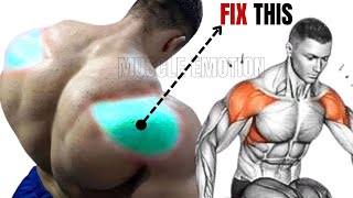 4 BEST REAR DELTOID EXERCISES WITH BODYWEIGHT [upl. by Niotna255]