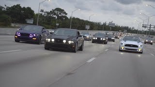 MUSTANGS TAKE OVER HIGHWAY [upl. by Izzy20]