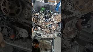 rang rover timing belt on mechanic belt timingbelt carrepair automotive [upl. by Leviralc192]