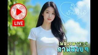 ฟังเพลง 24ชั่วโมง EP1533 ຟັງເພງຕະຫຼອດ 24 ຊົ່ວໂມງ ล่าสุด [upl. by Heyes]