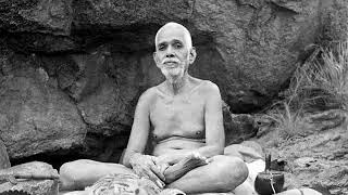 THE HEART OF THE RIBHU GITA  Ramana Maharshi  Audiobook  Lomakayu Sedona Shamanic Nodualism [upl. by Neelia]