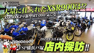 【店内探訪｜2024年3月下旬】たくさんあったXSR900の状況など！春を前にしたYSP横浜戸塚はこんな感じです～ [upl. by Darton639]