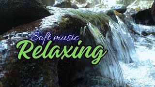 Relaxing Music to Relieve Stress Anxiety and Depression 🌿 Heals The Mindsoft music 1 [upl. by Yert537]