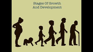 Stages Of Human Growth And Development [upl. by Talia]