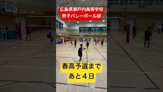 春高予選まであと４日 shorts 瀬戸内高校男子バレーボール部 春高バレー [upl. by Pitts]