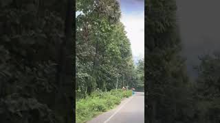 explorethebeautyofnature coimbatore ooty youtubeshorts youtube viralshorts viralvideo [upl. by Drawoh]