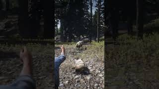 p679 Simulate great survival skills  shorts [upl. by Smalley]