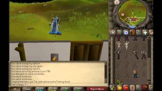 RuneScape Oldschool 99 Fishing  Cape amp Emote OSRS [upl. by Aspia]