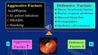 Peptic ulcer amp Antiemetics  Pharmacology 1  Gastrointestinal system [upl. by Drarig665]